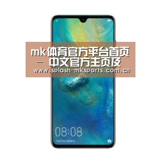 华为无线快充手机