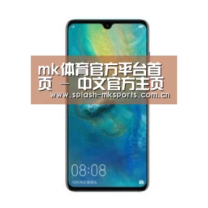 华为无线快充手机