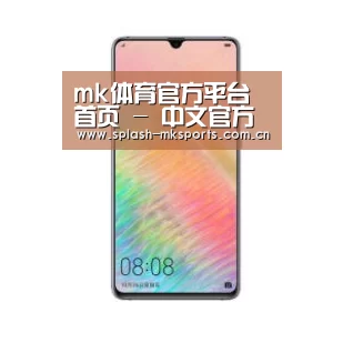 华为HUAWEI NOTE 8