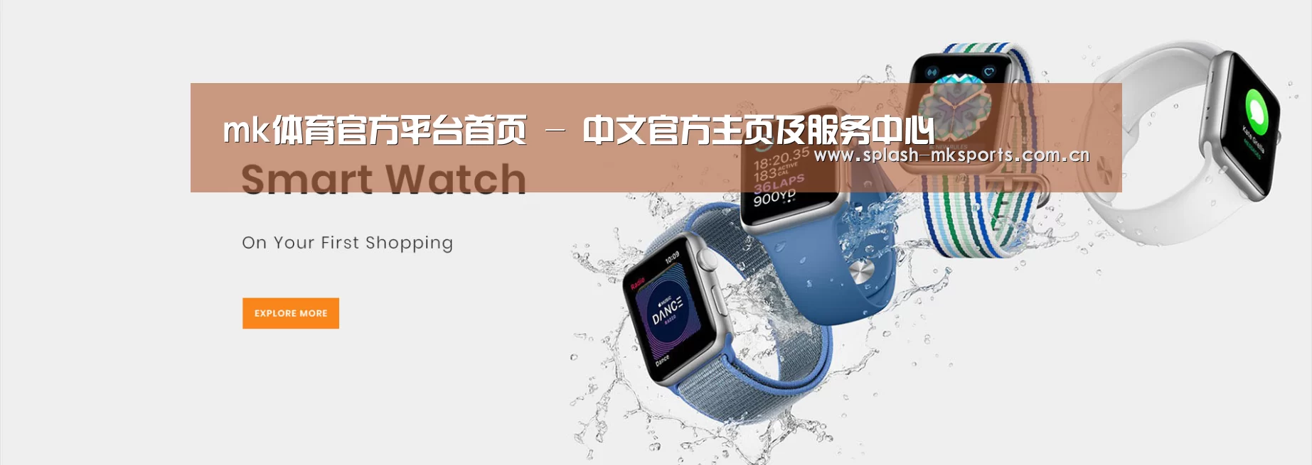 某某网络科技有限公司