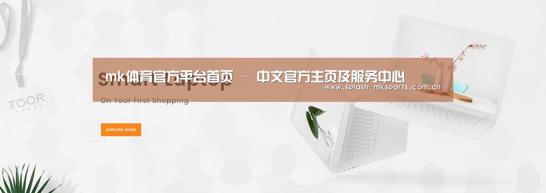 某某网络科技有限公司