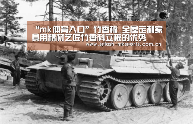 mk体育