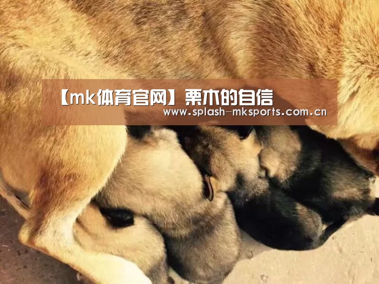 【mk体育官网】栗木的自信(图4) mk体育app下载入口