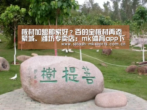 板材加盟那家好?百的宝板材再添蒙城、潍坊专卖店:mk体育app下载入口(图2) mk体育