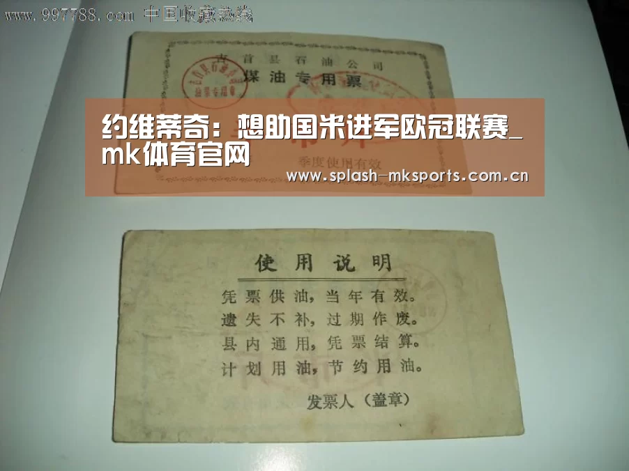 约维蒂奇:想助国米进军欧冠联赛_mk体育官网(图1) mk体育app下载入口