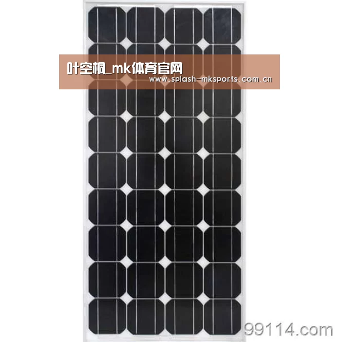 叶空桐_mk体育官网